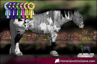 Horse Color:ERROR: UNKNOWN ANOMALY
