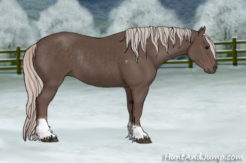 Horse Color:Silver Black Tobiano Rabicano 