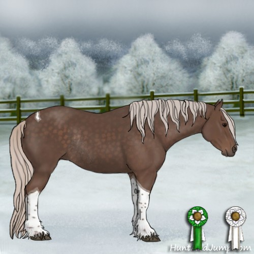 Horse Color:Silver Black Tobiano Rabicano 