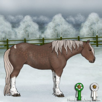 Horse Color:Silver Black Tobiano Rabicano 