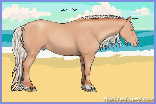 Horse Color:Silver Sable Champagne Tobiano Rabicano 