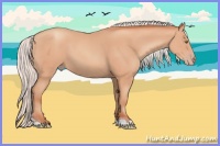 Horse Color:Silver Sable Champagne Tobiano Rabicano