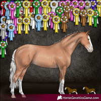 Horse Color:Silver Classic Champagne Splash Rabicano 