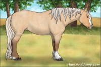 Horse Color:Silver Buckskin Roan Dun Splash Tobiano Rabicano 