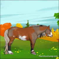 Horse Color:Brown Dun Frame Rabicano  and Silver Buckskin Sabino Frame 