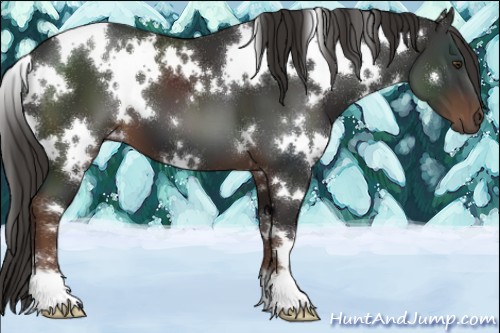 Horse Color:White Spotted Liver Chestnut 