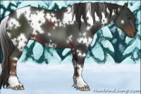 Horse Color:White Spotted Liver Chestnut 