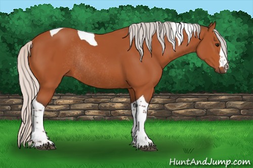 Horse Color:Silver Bay Tobiano Rabicano