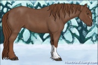 Horse Color:Red Roan 