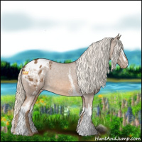 Horse Color:White Spotted Chocolate Palomino Appaloosa Rabicano 