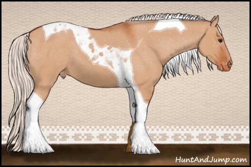 Horse Color:Silver Bay Dun Tobiano Varnish