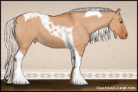 Horse Color:Silver Bay Dun Tobiano Varnish