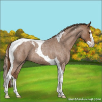 Horse Color:Red Roan Splash Tobiano 