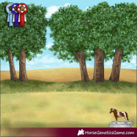 Horse Color:Silver Black Sabino