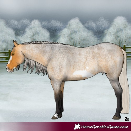 Horse Color:Silver Buckskin Roan Frame 