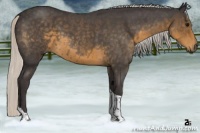 Horse Color:Silver Smoky Blue Roan Tobiano 