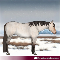 Horse Color:Bay Roan Dun 