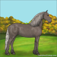 Horse Color:Silver Black 