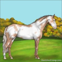 Horse Color:Silver Sable Champagne Frame