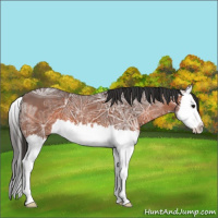 Horse Color:Brown Ice Splash 