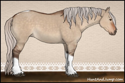 Horse Color:Silver Bay Dun Tobiano