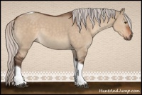 Horse Color:Silver Bay Dun Tobiano