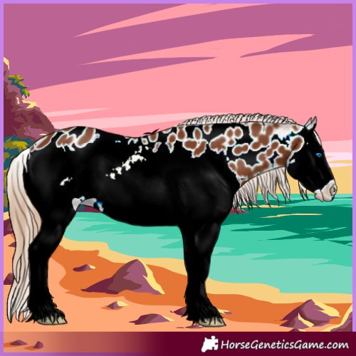 Horse Color:Chestnut Splash Near Leopard