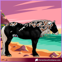 Horse Color:Chestnut Splash Near Leopard 