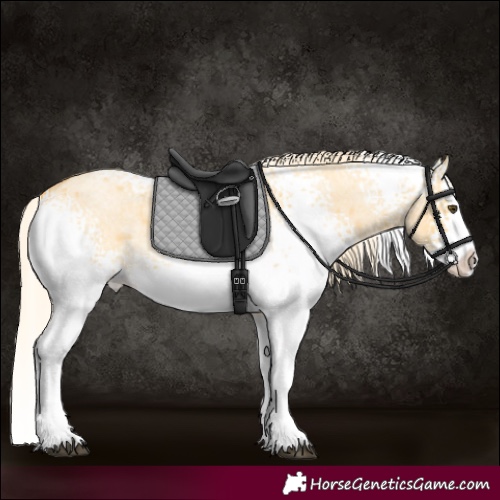 Horse Color:White Spotted Palomino Roan Dun Splash 