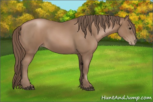 Horse Color:Black Pearl 