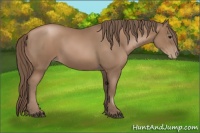 Horse Color:Black Pearl 