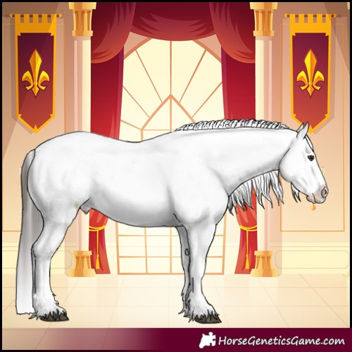 Horse Color:Liver Chestnut Sabino Splash Varnish