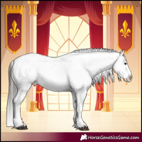 Horse Color:Liver Chestnut Sabino Splash Varnish