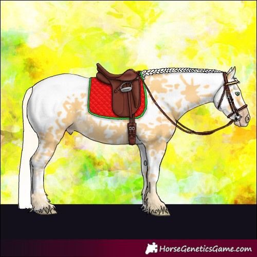 Horse Color:White Spotted Gold Cream Champagne Splash 