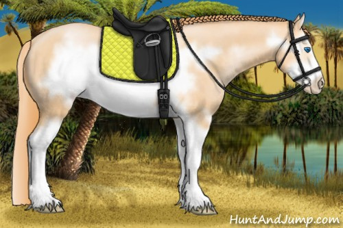 Horse Color:Buckskin Pearl Splash Frame 