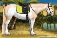 Horse Color:Buckskin Pearl Splash Frame 