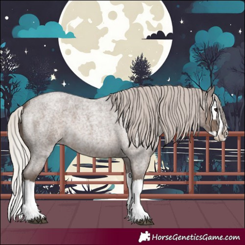 Horse Color:Silver Blue Roan Splash 