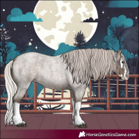 Horse Color:Silver Blue Roan Splash