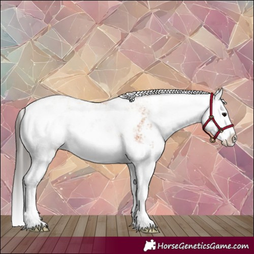 Horse Color:Bay Sabino Splash 