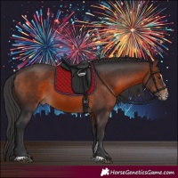 Horse Color:Brown Sabino