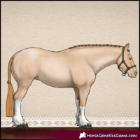 Horse Color:Red Roan Pearl Tobiano