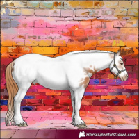 Horse Color:Chestnut Splash Tobiano Frame Appaloosa 