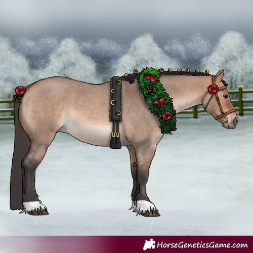 Horse Color:Bay Roan Dun Rabicano
