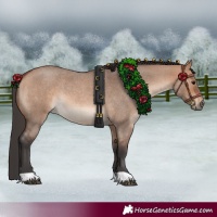 Horse Color:Bay Roan Dun Rabicano 