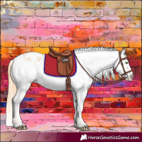 Horse Color:Gold Champagne Roan Dun Varnish 