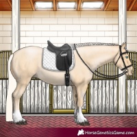 Horse Color:Silver Buckskin Roan Pearl 