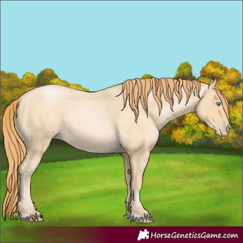 Horse Color:Buckskin Roan Pearl 