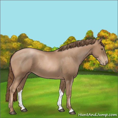 Horse Color:Liver Chestnut Pearl 