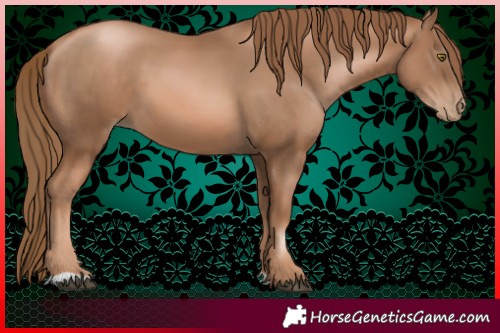 Horse Color:Liver Chestnut Pearl 