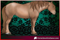 Horse Color:Liver Chestnut Pearl